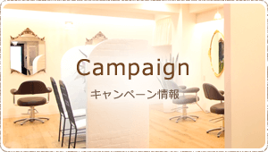 Campaign