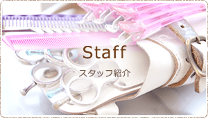 Staff