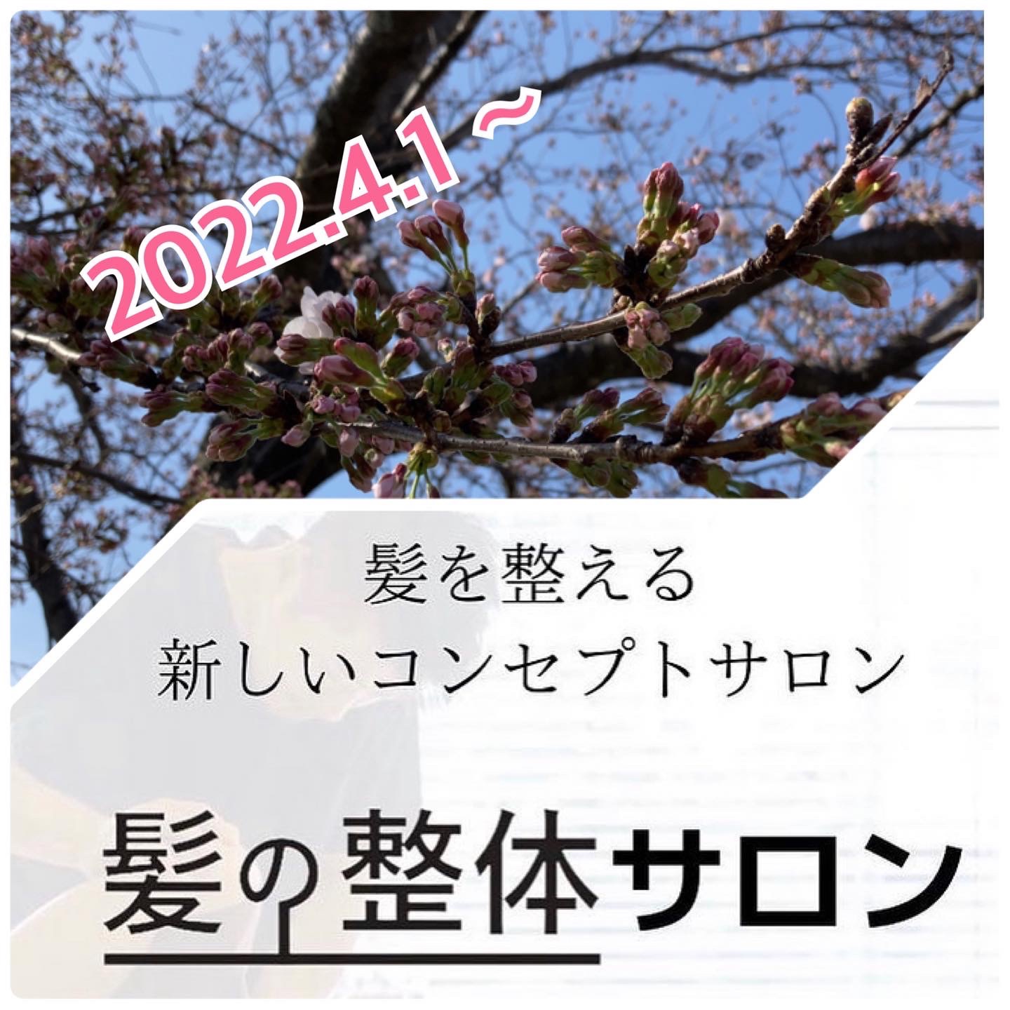 米子美容室Ring/今日から新年度スタート！