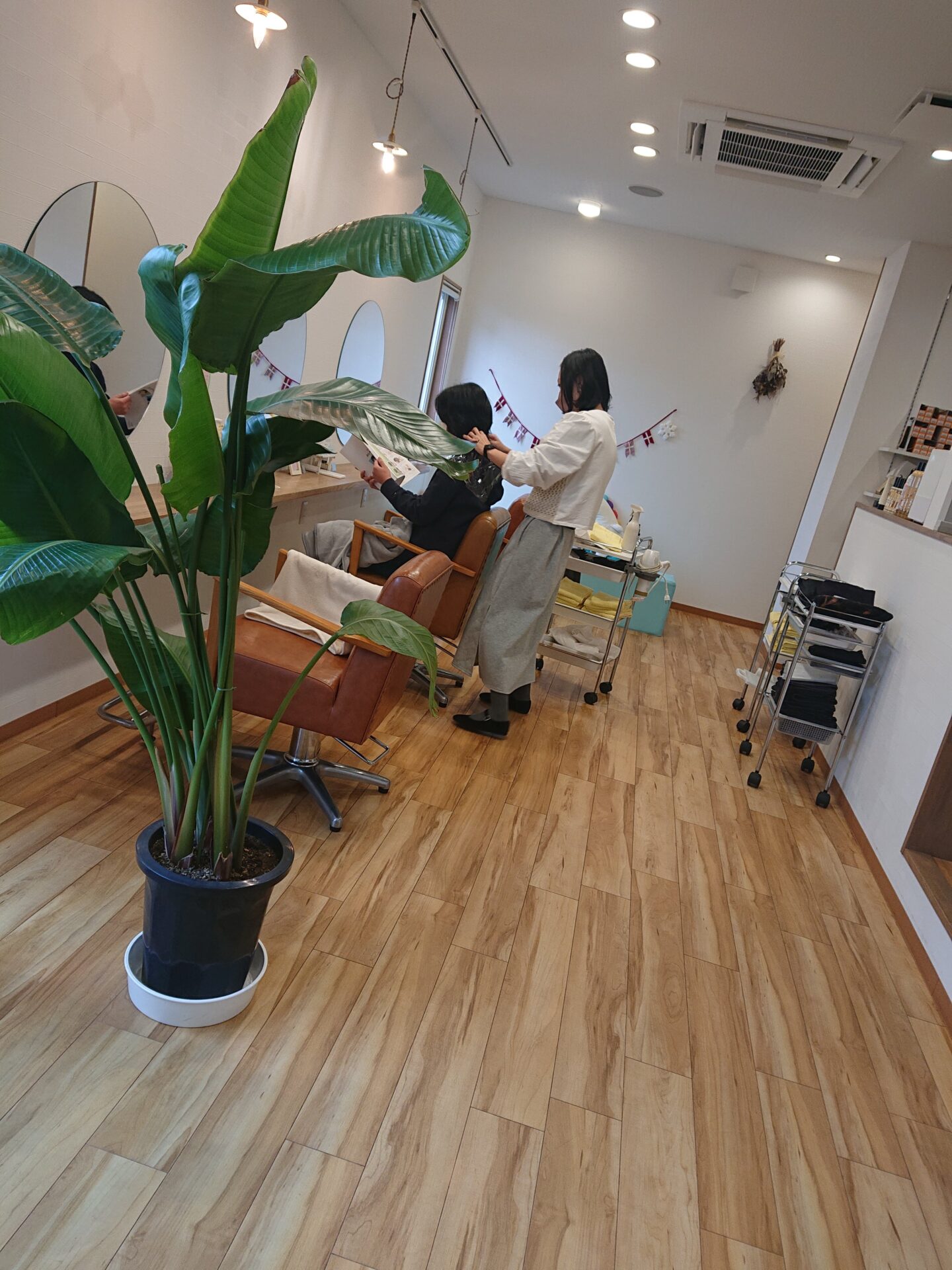 米子美容室Ring/お知らせ