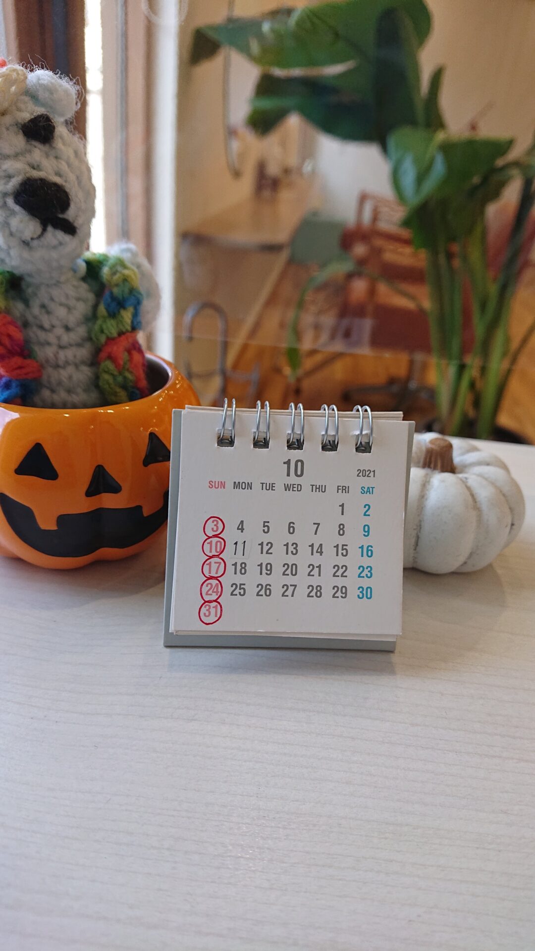 米子美容室Ring/月曜日営業です！