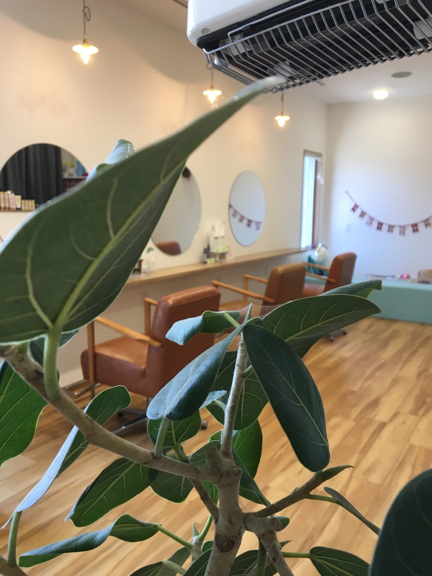 米子美容室Ring/今週来週のお知らせ