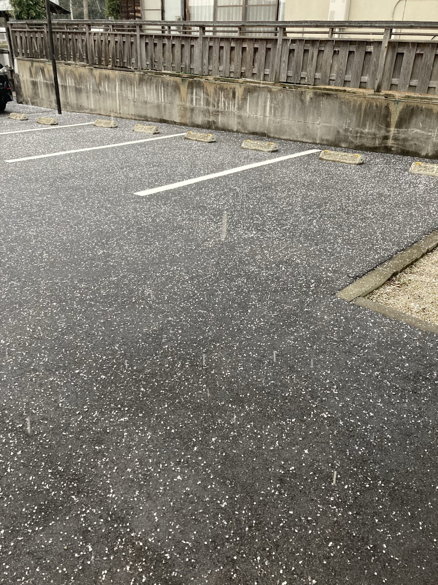 米子美容室Ring/白髪染めからおしゃれ染めの移行