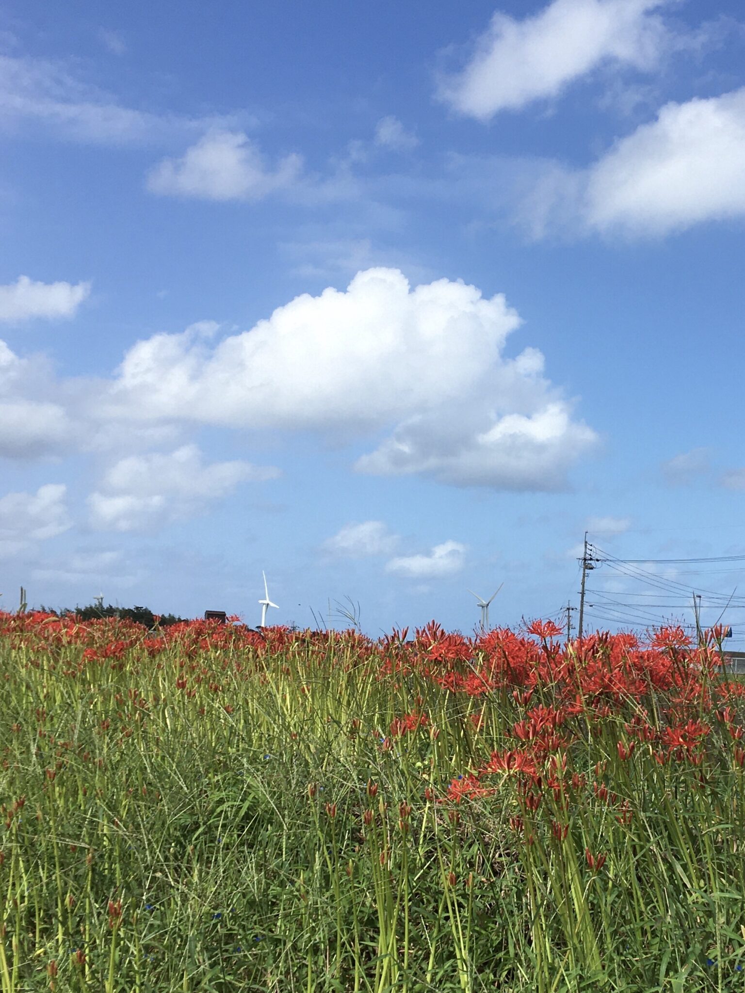 米子美容室 R ing/10月間近。ご予約増えてきてます！