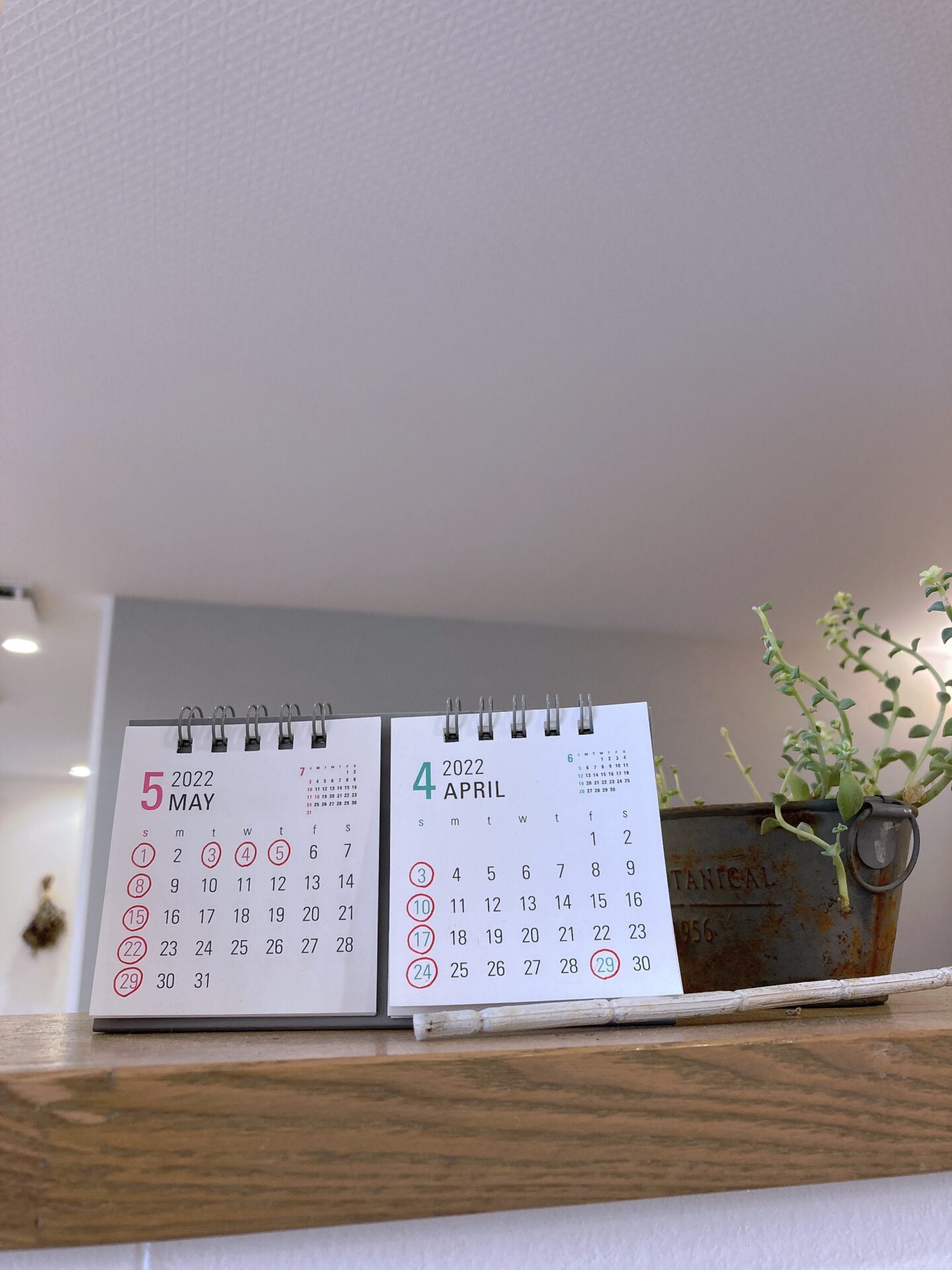 米子美容室Ring/GWに向けて整えましょう✂︎