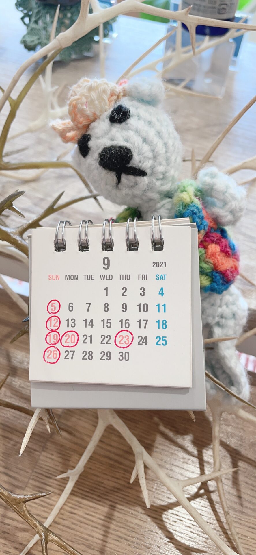 美容室Ring米子/9月の定休日のご案内