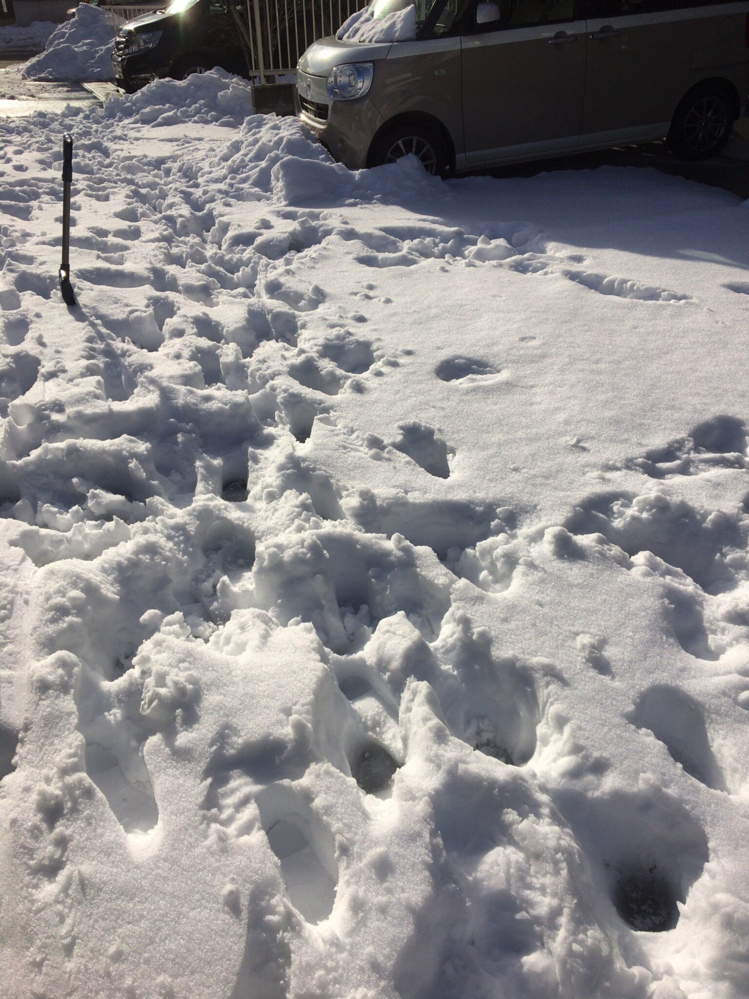 米子美容室Ring/降り止まない雪❄︎