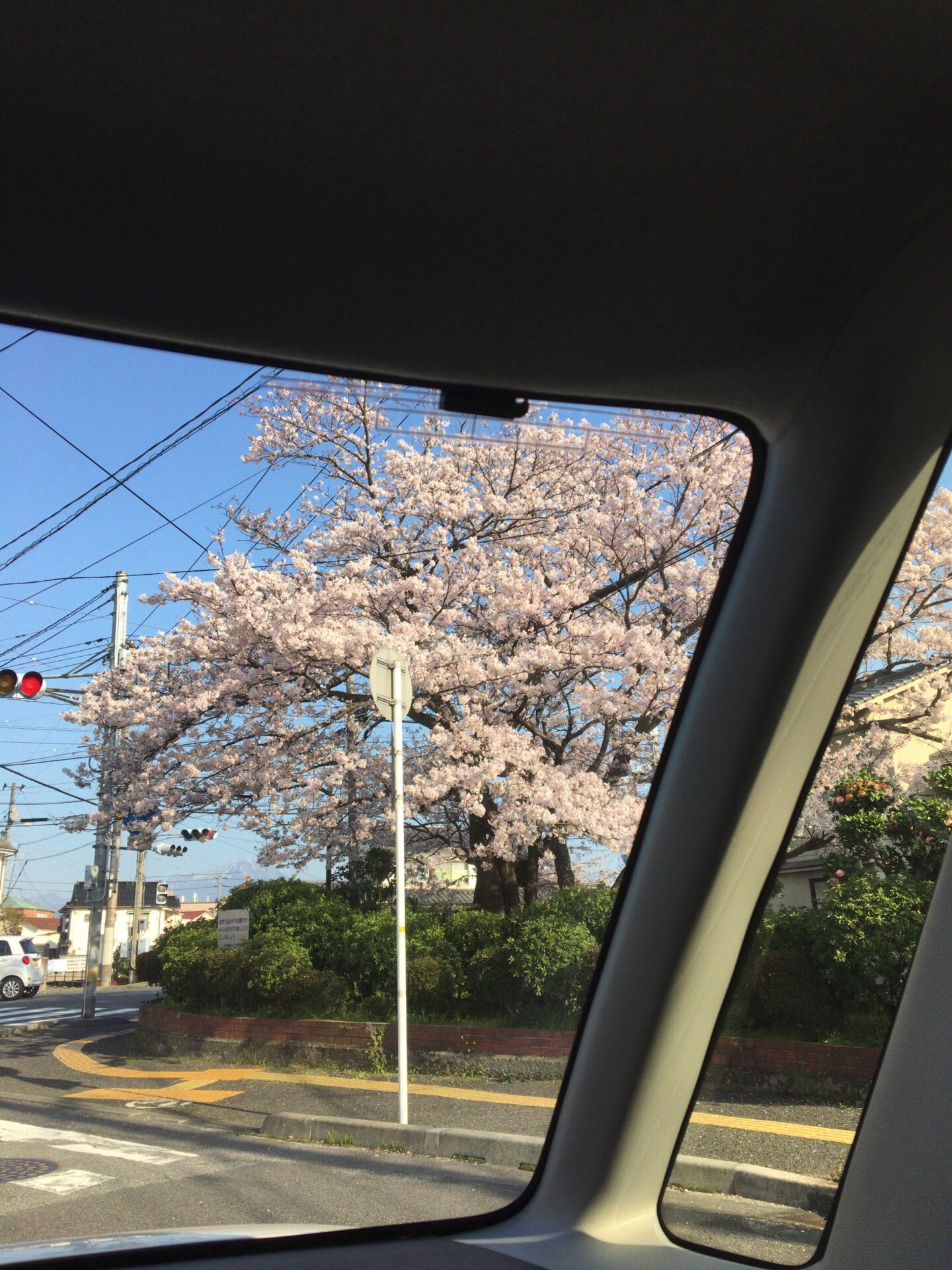 米子美容室Ring／春のスキンケア♪