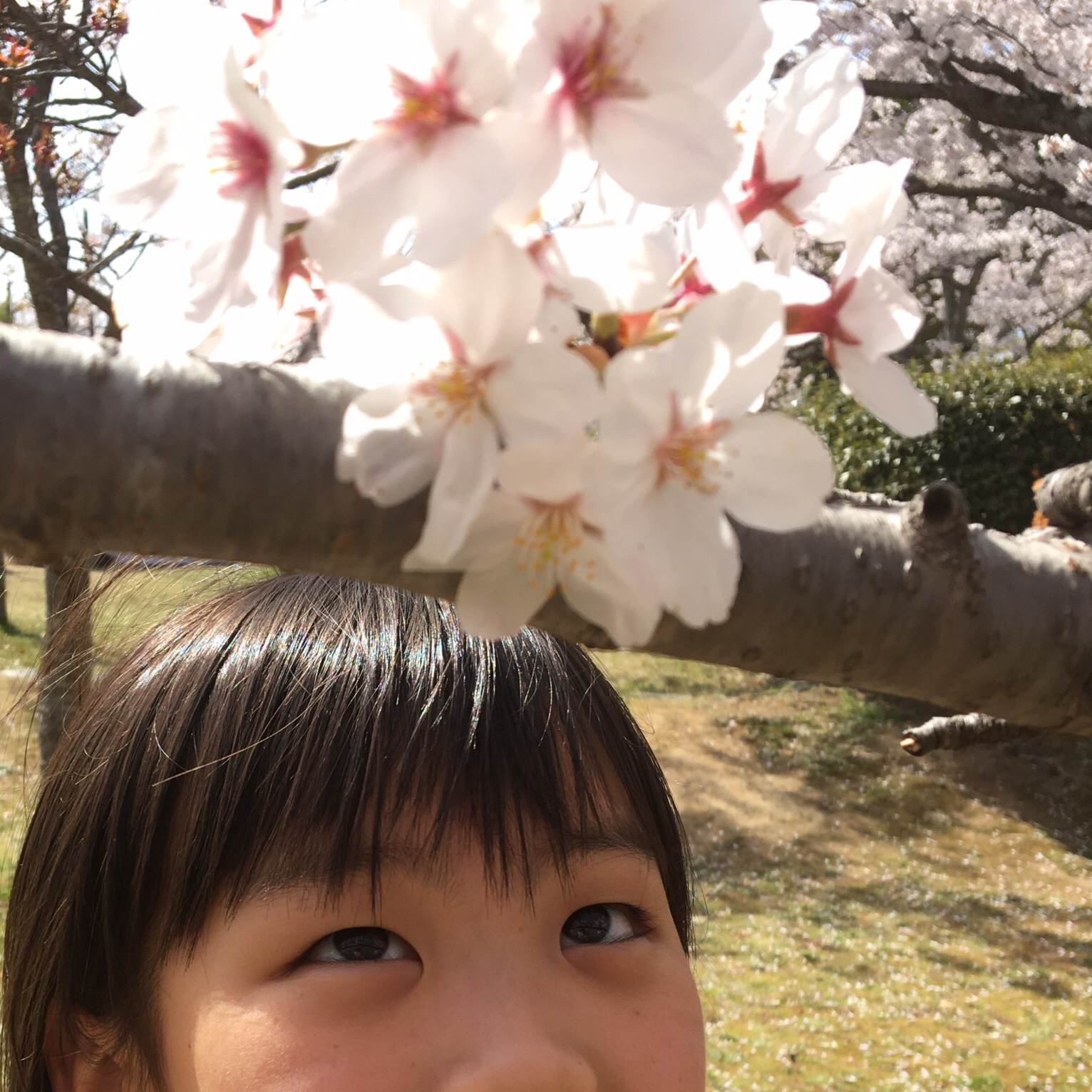 米子美容室Ring/ご入学おめでとうございます！