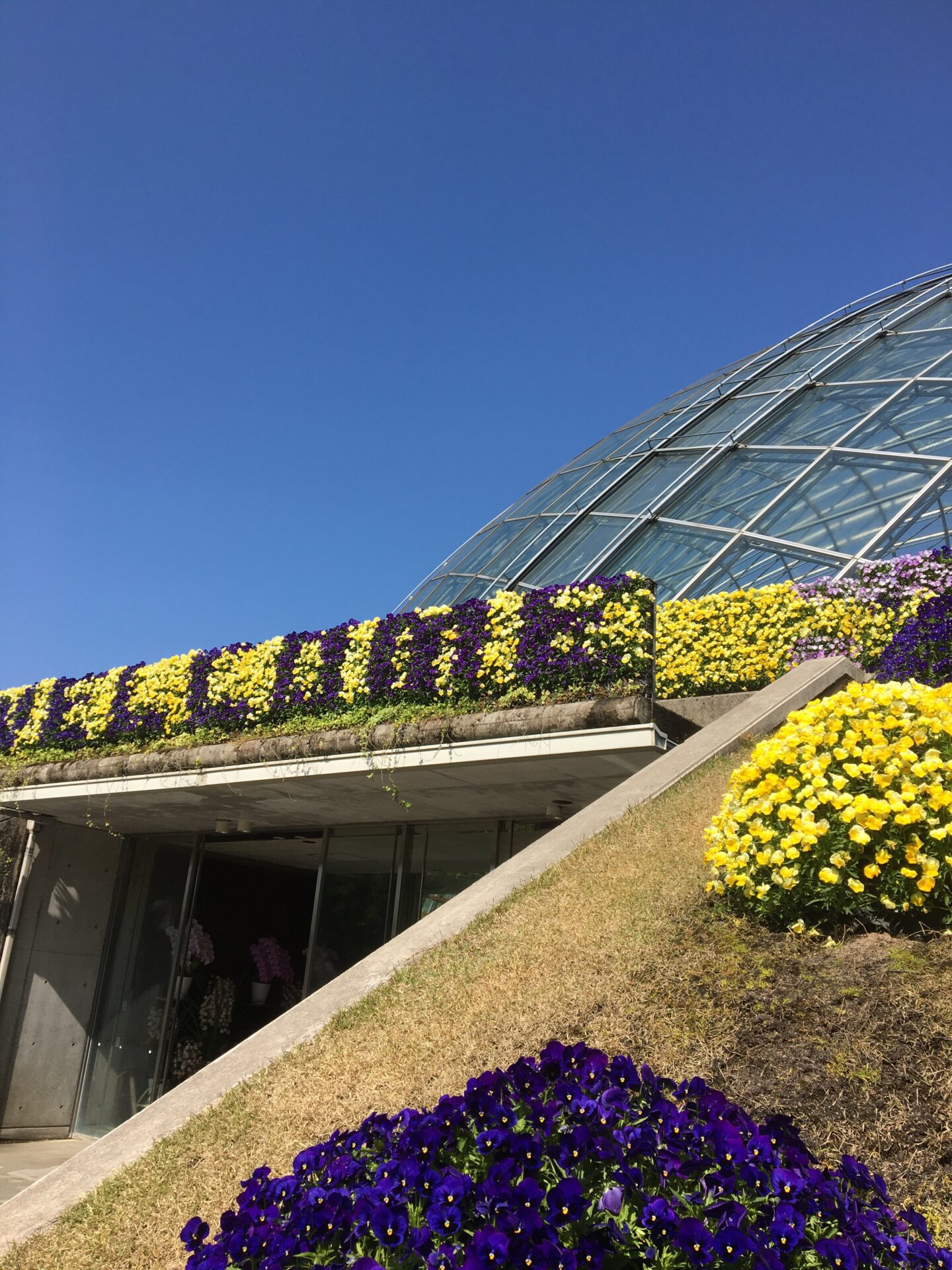 米子美容室Ring/5月6日より営業スタート♪